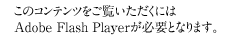 ̃Recɂ́AAdobe Flash PlayerKvƂȂ܂B